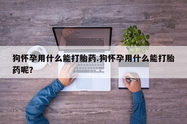 药流药怎么购买狗怀孕用什么能打胎药.狗怀孕用什么能打胎药呢？