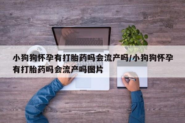 药流药怎么购买小狗狗怀孕有打胎药吗会流产吗/小狗狗怀孕有打胎药吗会流产吗图片