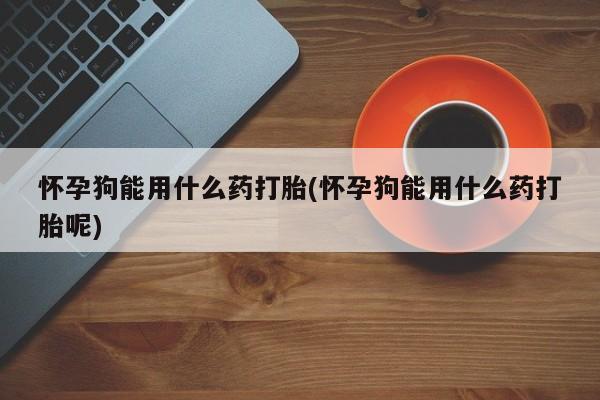 药流药怎么购买怀孕狗能用什么药打胎(怀孕狗能用什么药打胎呢)